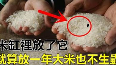 米缸裡放了3物品，就算放一年大米也不生蟲！不發霉，超實用，人人見了都誇好