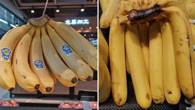 香蕉有彎和直，到底買哪種好，果農果農告訴你以後別買錯