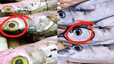 買帶魚，黑眼睛跟黃眼睛區別大，牢記4買4不買，帶魚鮮嫩味道正